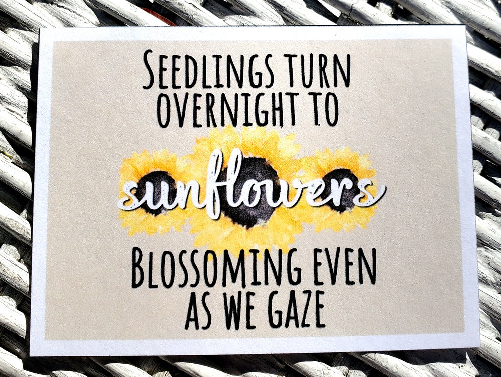 FIDDLER ON THE ROOF "Seedlings Turn Overnight" Refrigerator Magnet